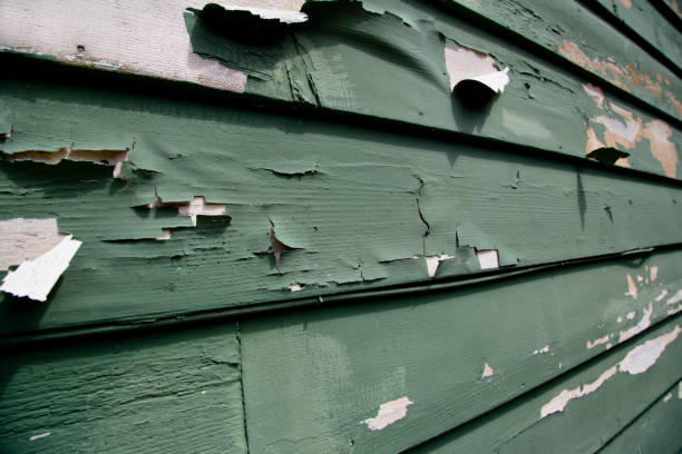 Best Steel Siding Installation  in Forest City, NC