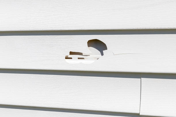 Best Composite Siding  in Forest City, NC