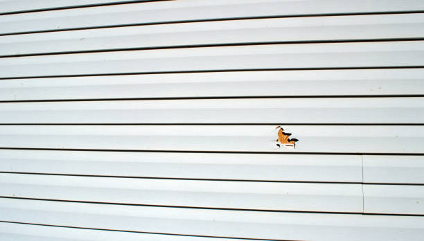 Best Historical Building Siding Restoration  in Forest City, NC