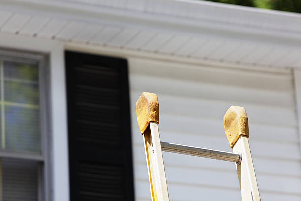 Best Fiber Cement Siding Installation  in Forest City, NC