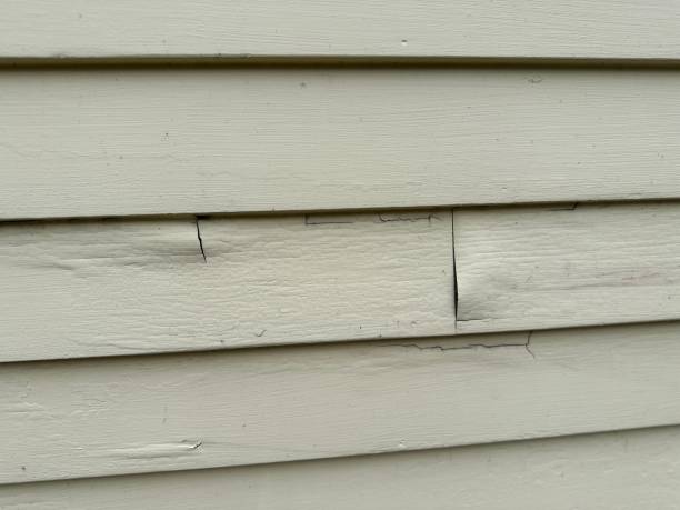 Best Siding Removal and Disposal  in Forest City, NC